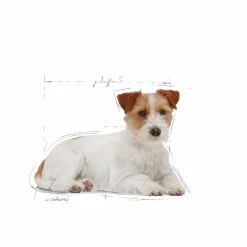 Hundfoder Royal Canin Mini Ageing 12+ 1,5kg