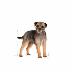 Hundfoder Royal Canin Sterilised Mini Adult 3kg