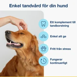 Hundgodis PlaqueOff Dental Bites 60g