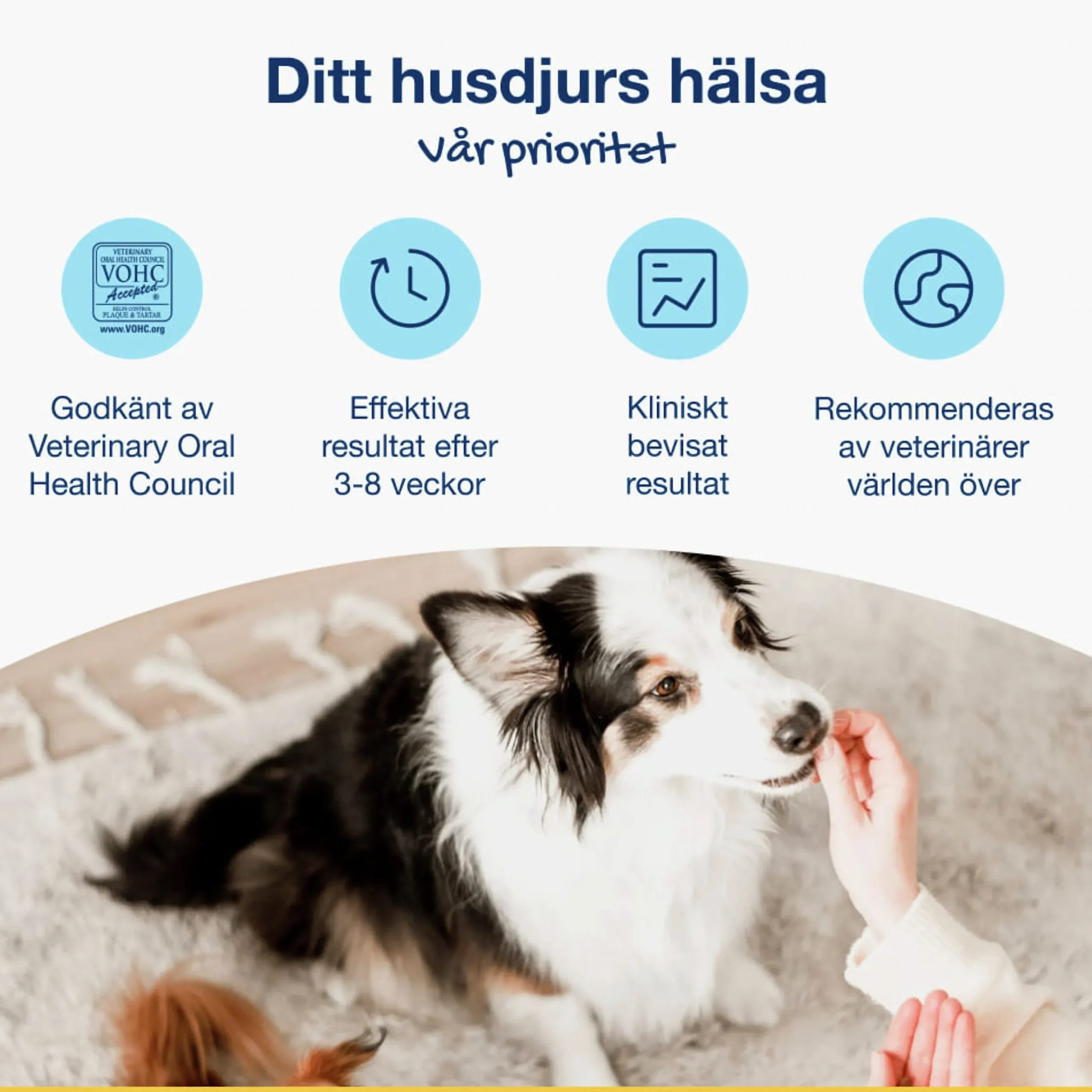 Hundgodis PlaqueOff Dental Bites 60g