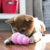 Hundleksak Kong Puppy Blandade färger M