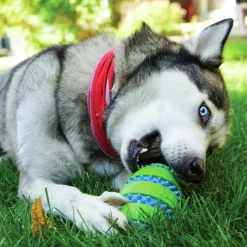 Hundleksak Kong Squeezz Goomz Ball