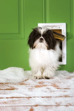Hundlucka Petsafe Extreme Weather Vit S