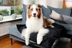 Hundmadrass Bia Bed Travel Outdoor Svart