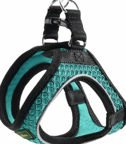 Hundsele Hunter Step-In Turkos