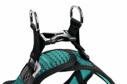 Hundsele Hunter Step-In Turkos