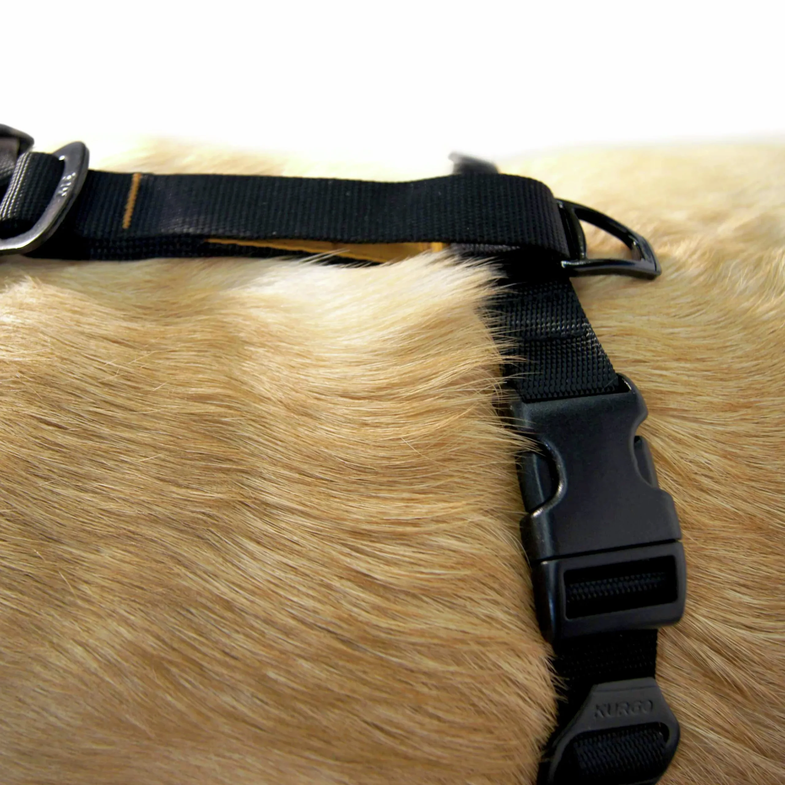 Hundsele Kurgo RSG Tru-Fit Smart Svart