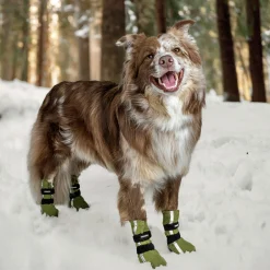 Hundsko Finnero Halla Reflex Grön 4p