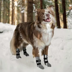 Hundsko Finnero Halla Reflex Grå 4p