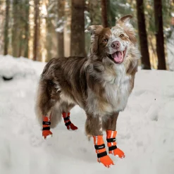 Hundsko Finnero Halla Reflex Orange 4p