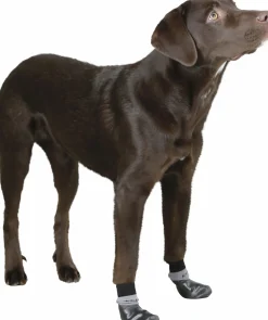 Hundsockor Kerbl Svart 2-p