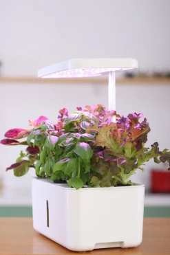 Hydroponisk odling Greenline Urban Growing Odlingsset