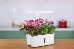 Hydroponisk odling Greenline Urban Growing Odlingsset
