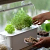 Hydroponisk odling Nelson Garden Harvy Startpaket 3 pluggar