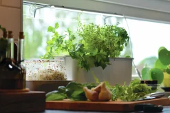 Hydroponisk odling Nelson Garden Harvy Startpaket 3 pluggar