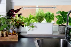 Hydroponisk odling Nelson Garden Harvy Startpaket 3 pluggar