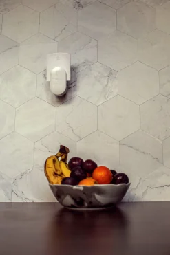 Insekts- och Bananflugefälla DynaTrap DOT
