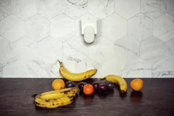 Insekts- och Bananflugefälla DynaTrap DOT