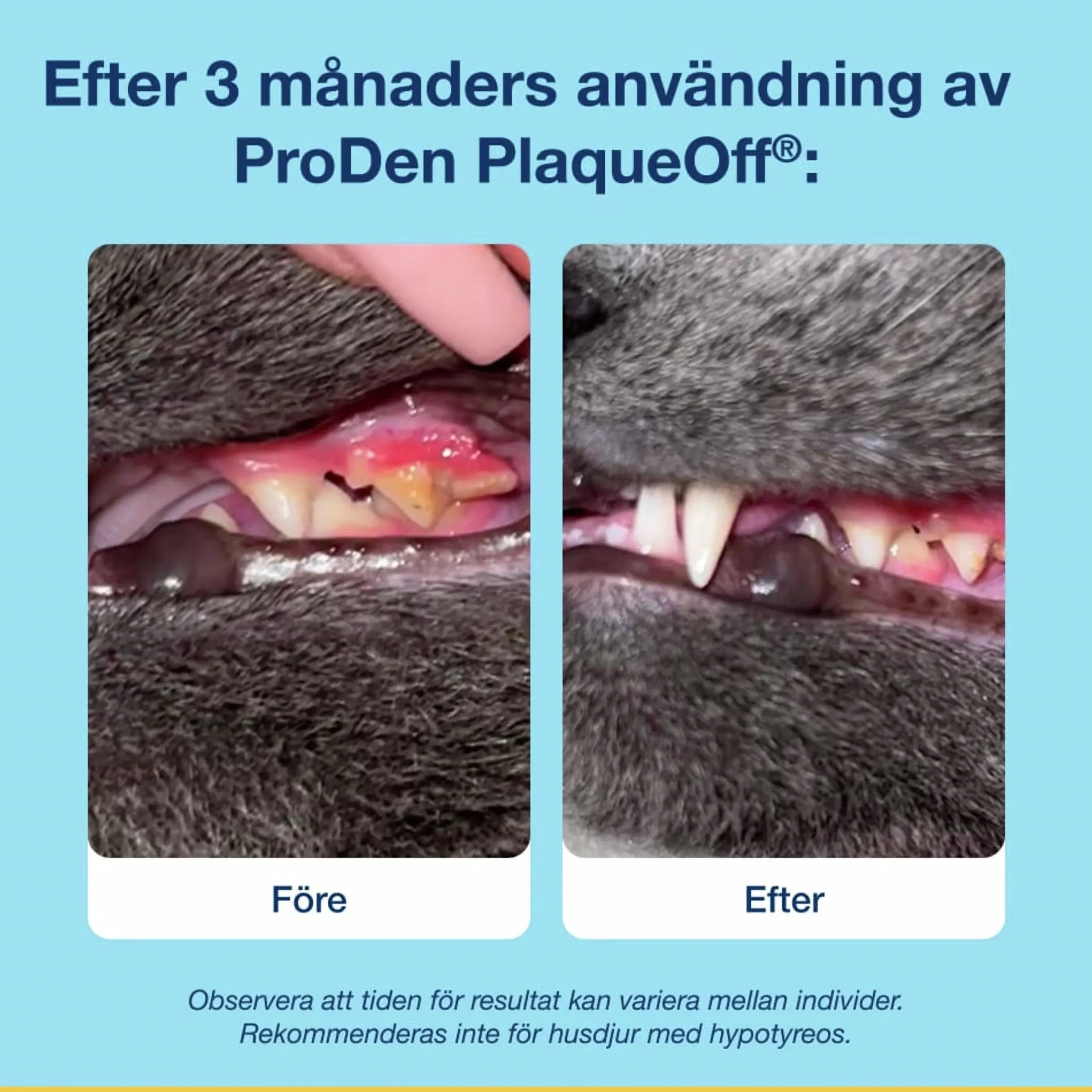 Kattgodis PlaqueOff Dental Bites 60g