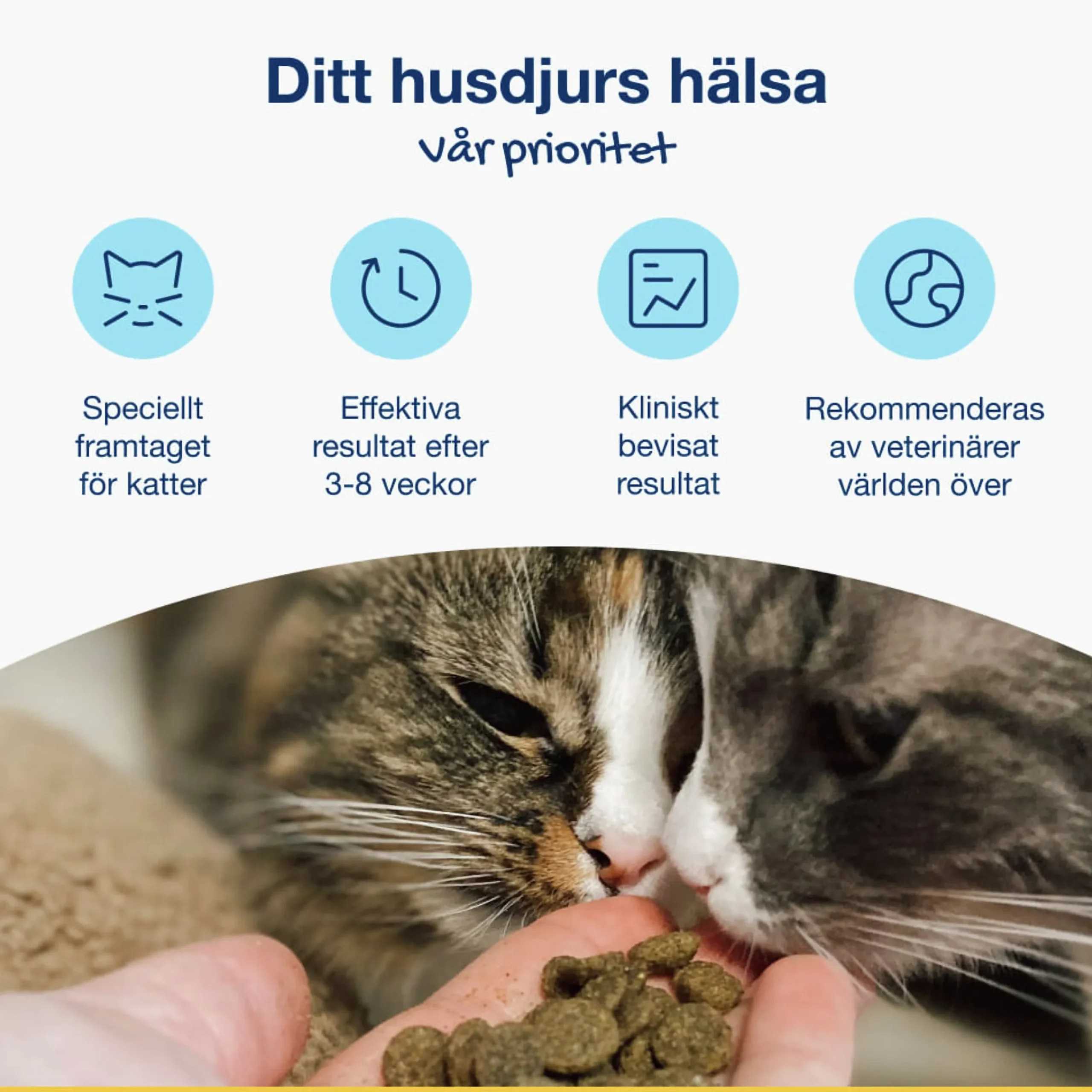Kattgodis PlaqueOff Dental Bites 60g