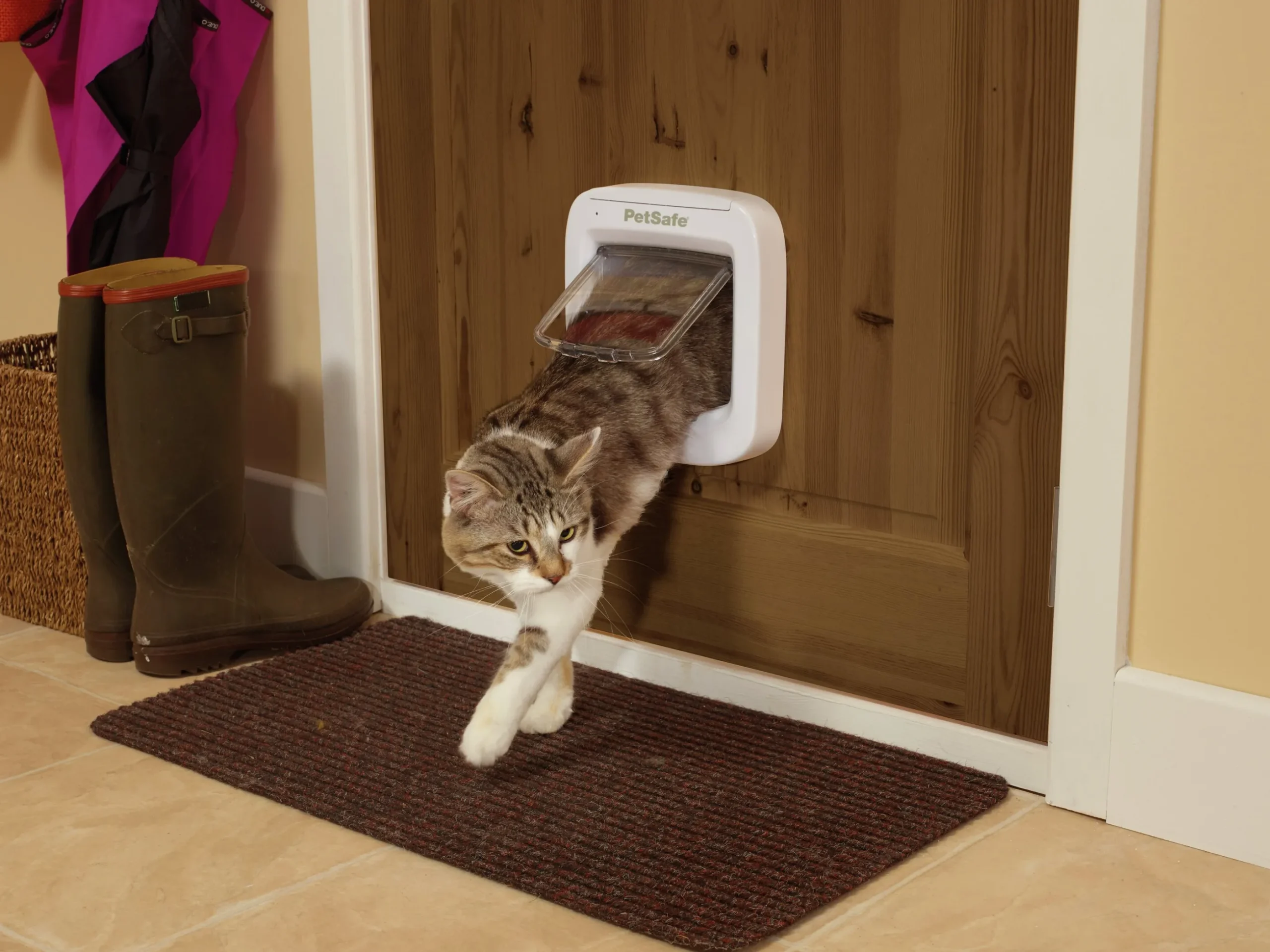 Kattlucka Petsafe Microchip Vit