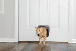 Kattlucka Petsafe 919 4-vägs Brun