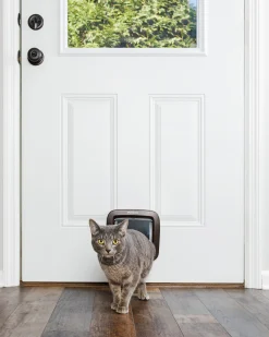 Kattlucka Petsafe 919 4-vägs Brun