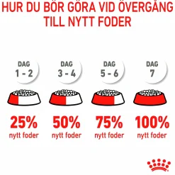 Kattmat Royal Canin Adult Appetite Control 10kg