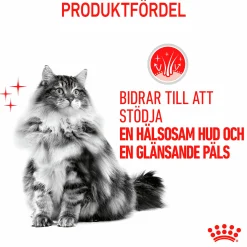 Kattmat Royal Canin Adult Hair & Skin 2kg