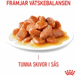 Kattmat Royal Canin Adult Light Weight Pouches Gravy Bitar i sås 12x85g