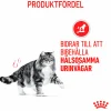 Kattmat Royal Canin Adult Urinary Care 2kg