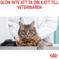 Kattmat Royal Canin Adult Urinary Care 2kg