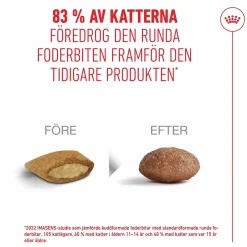 Kattmat Royal Canin Agening 15+ 2kg