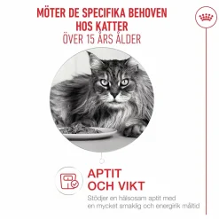 Kattmat Royal Canin Agening 15+ 2kg