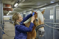 Klippmaskin DeLaval CB35 häst/husdjur