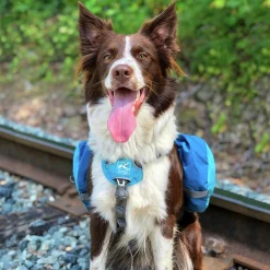 Klövjeväska Kurgo Baxter Blå M 12-40kg