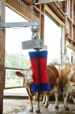 Koborste Kerbl HappyCow Maxiswing
