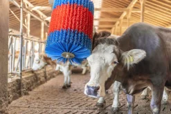 Koborste Kerbl HappyCow Midiswing