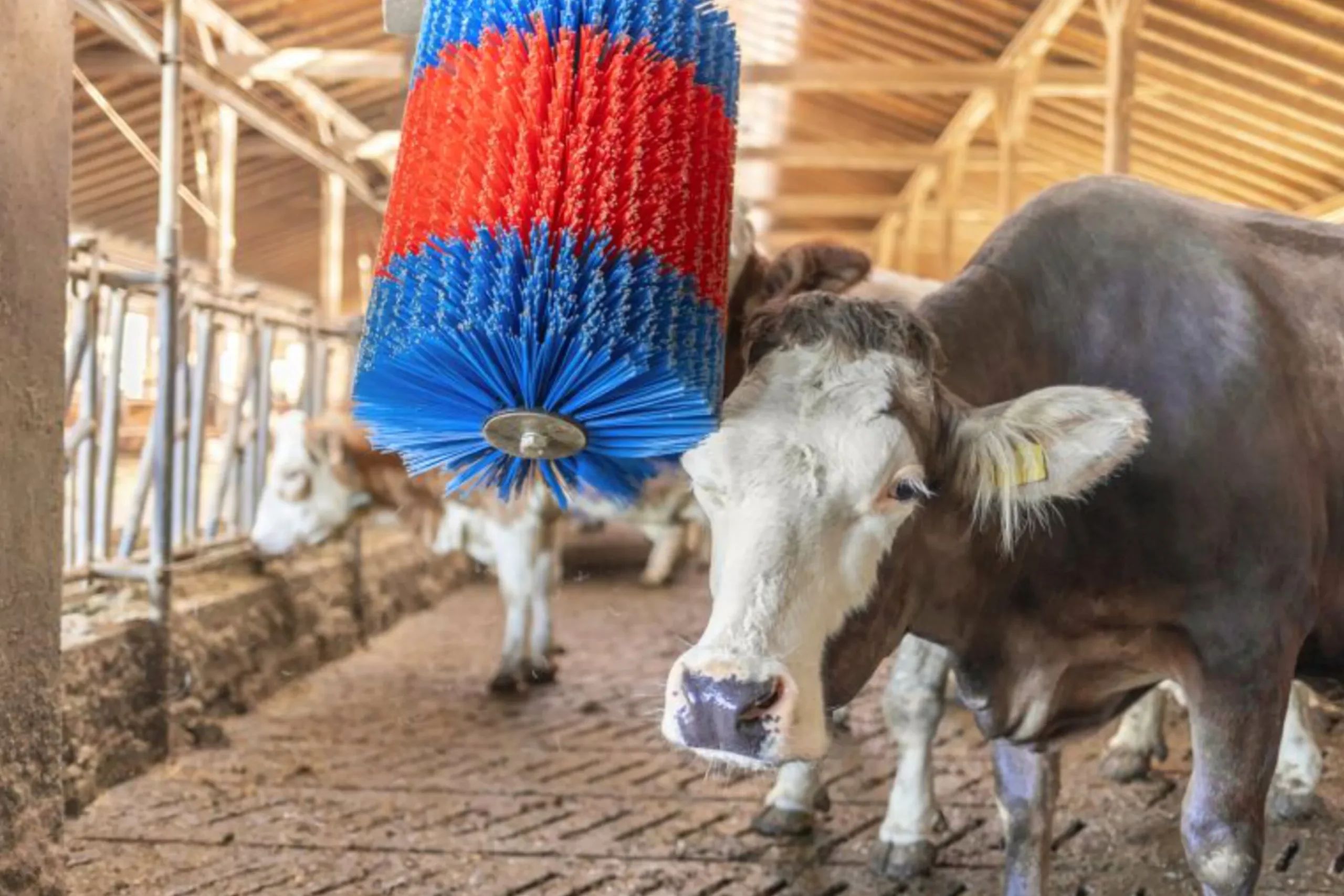 Koborste Kerbl HappyCow Midiswing