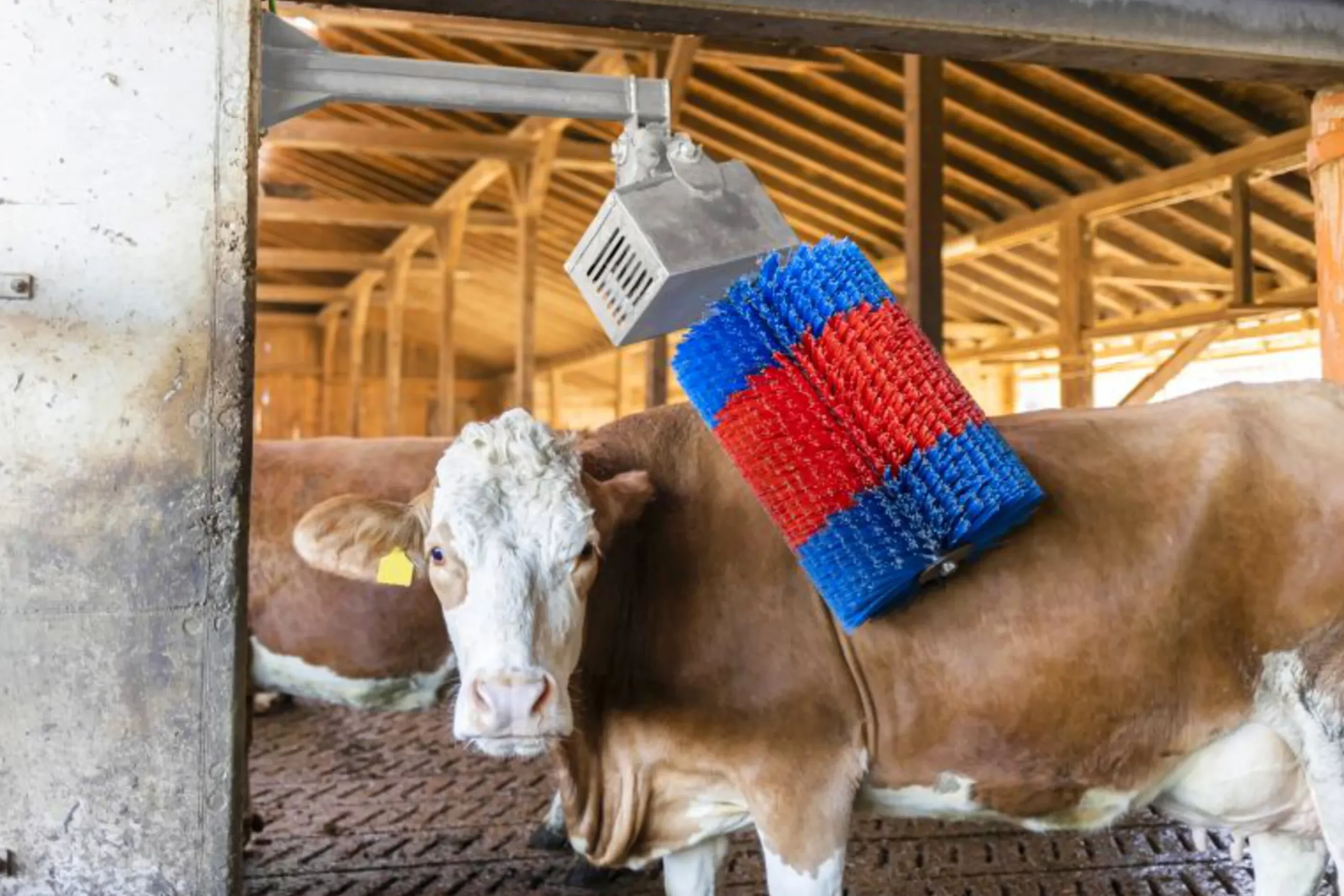 Koborste Kerbl HappyCow Midiswing