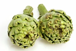 Kronärtskocka lat. Cynara cardunculus