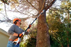 Kvistsåg STIHL HTA 50 36V