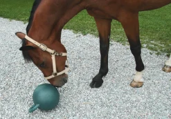 Lekboll Kerbl med äppelsmak 25cm