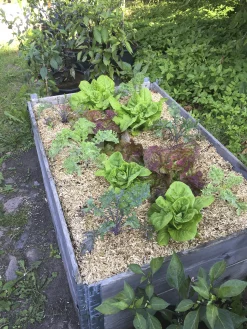 Lättströ Granngården Hampa 20kg
