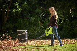 Lövblås Ryobi ONE+ Whisper RY18BLXD 18V (exkl batteri)