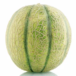 Melon Gurka & Squash Sortmix