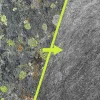 Metallborste Ryobi RAC824