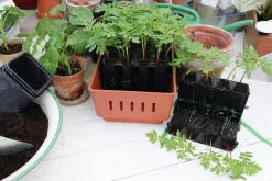 Minidrivhus Nelson Garden Rootmaster Brun 19,5x29x21cm