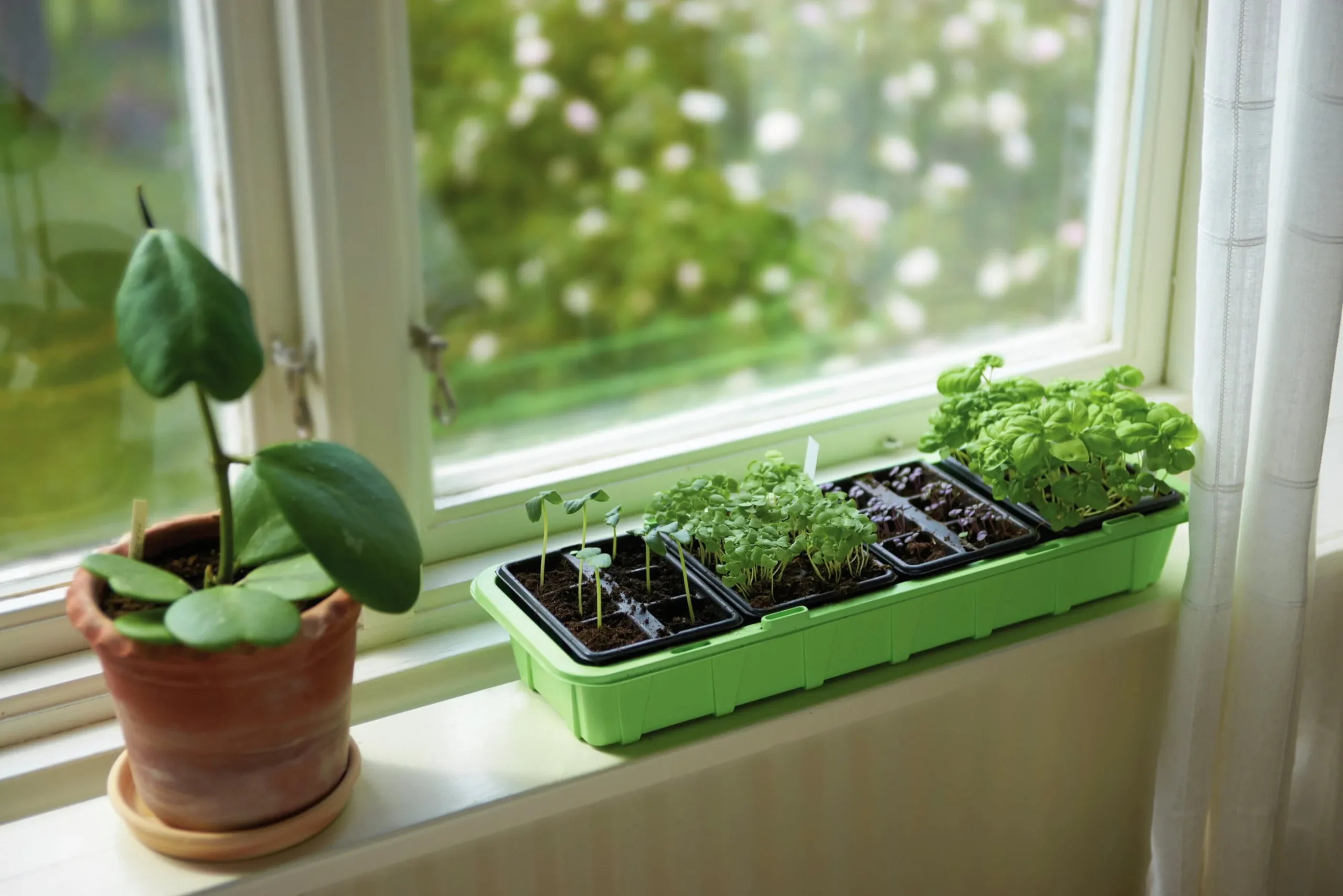 Minidrivhus Nelson Garden Window m 4x6st krukceller 47x16cm