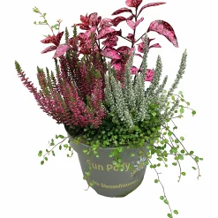Mixkruka SunPoly 19cm